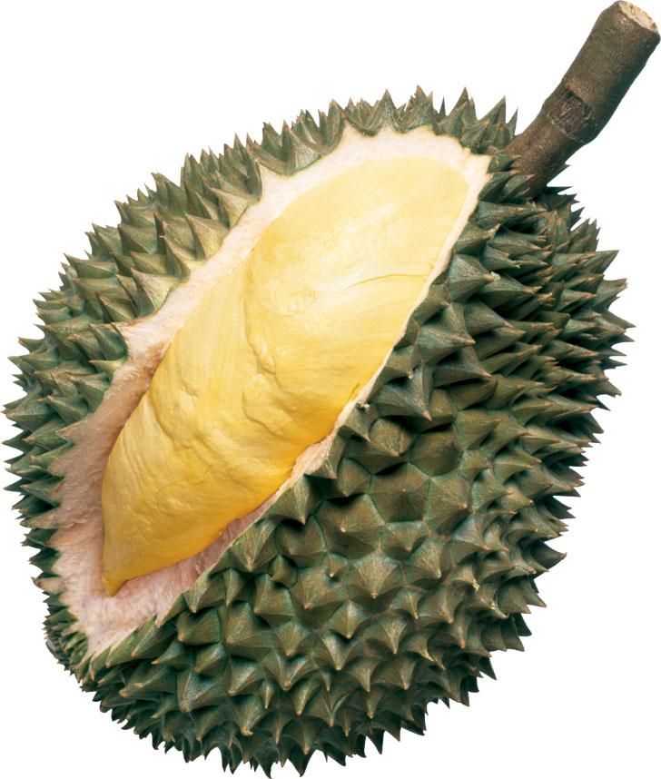 http://www.nurulrahman.com/blog/wp-content/uploads/2008/01/durian.jpg